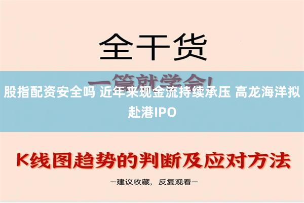 股指配资安全吗 近年来现金流持续承压 高龙海洋拟赴港IPO