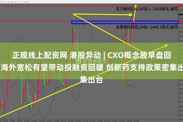 正规线上配资网 港股异动 | CXO概念股早盘回暖 海外宽松有望带动投融资回暖 创新药支持政策密集出台