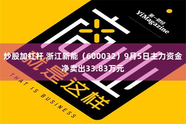 炒股加杠杆 浙江新能（600032）9月5日主力资金净卖出33.83万元