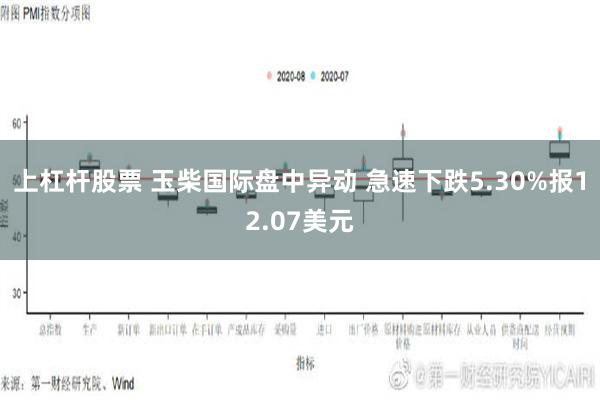 上杠杆股票 玉柴国际盘中异动 急速下跌5.30%报12.07美元