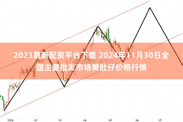 2023最新配资平台下载 2024年11月30日全国主要批发市场黄肚仔价格行情