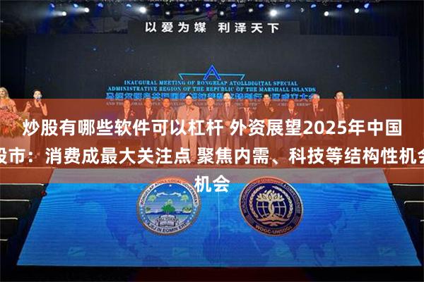 炒股有哪些软件可以杠杆 外资展望2025年中国股市：消费成最大关注点 聚焦内需、科技等结构性机会