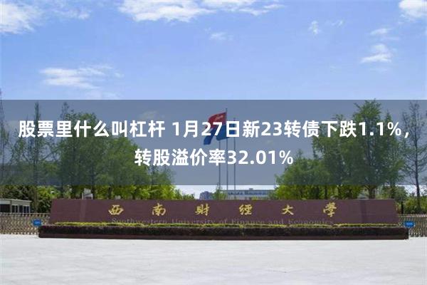 股票里什么叫杠杆 1月27日新23转债下跌1.1%，转股溢价率32.01%