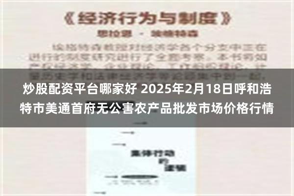 炒股配资平台哪家好 2025年2月18日呼和浩特市美通首府无公害农产品批发市场价格行情