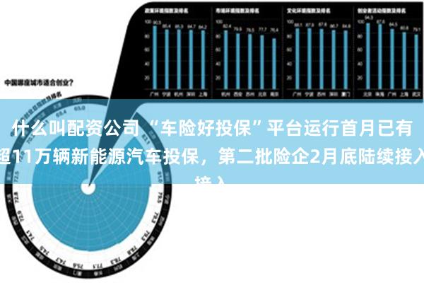 什么叫配资公司 “车险好投保”平台运行首月已有超11万辆新能源汽车投保，第二批险企2月底陆续接入